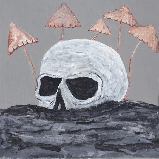 Skull and Mushrooms