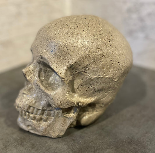 Medium Concrete Skull - Detailed
